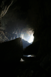 Inside Bat Cave Size