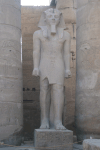 Statue Court Amunhotep Iii