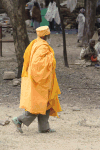 Monk Saffron Yellow