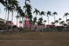 Central Square Cayenne Palms