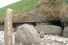 Entrance Stones Main Knowth