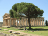 Temple Ii Hera Paestum