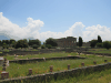 View Over Paestum Temple